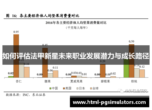 如何评估法甲新星未来职业发展潜力与成长路径
